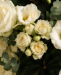 Pure Serenity Box - Image 3